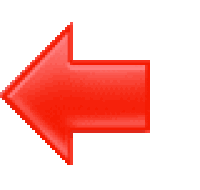 NESAC logo